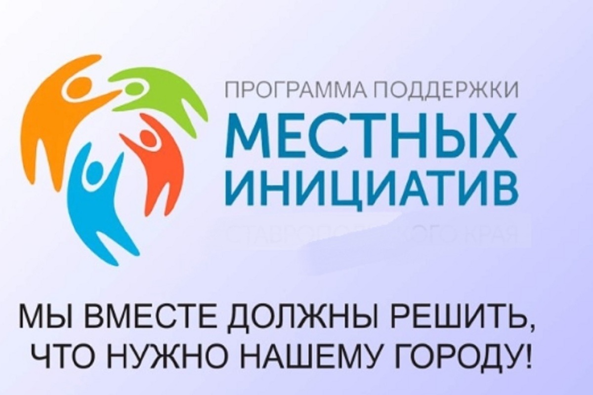 Местные инициативы логотип